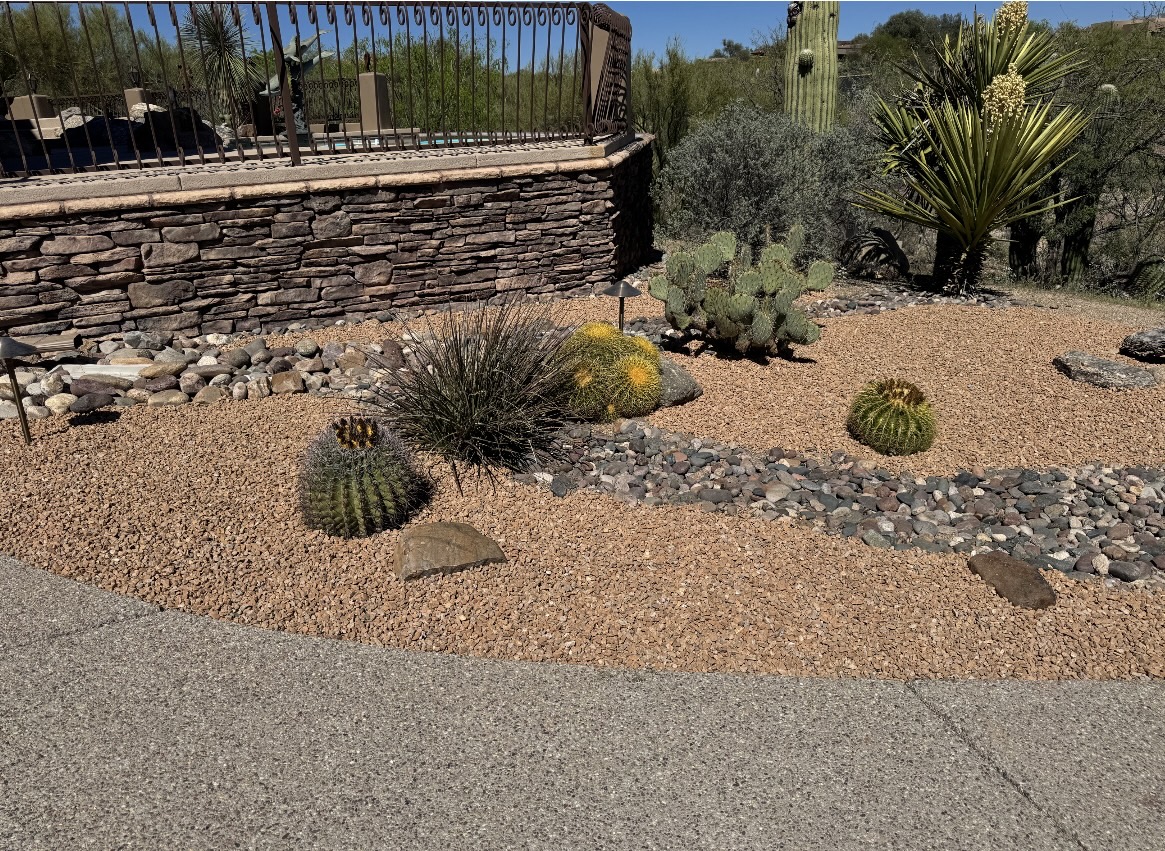 Catarina Landscaping LLC project